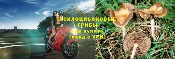 кокаин Бородино