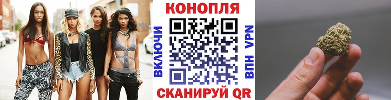 Конопля AK-47 Юрьев-Польский